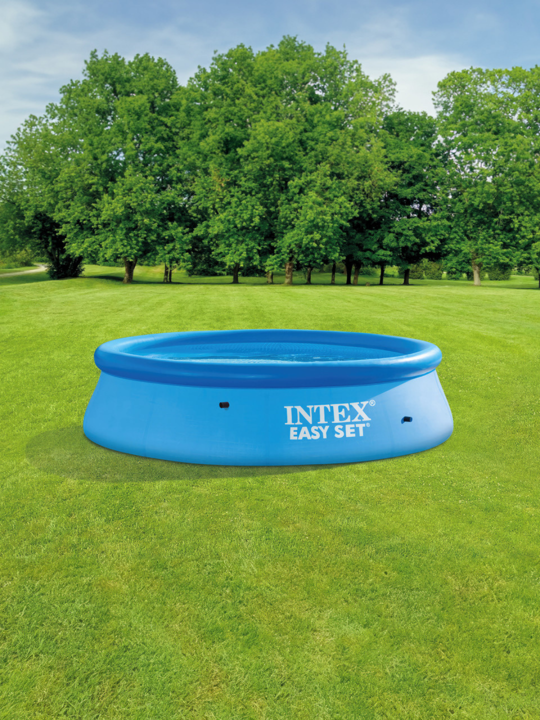 Intex 28120 Бассейн Easy Set Pool — фото 1
