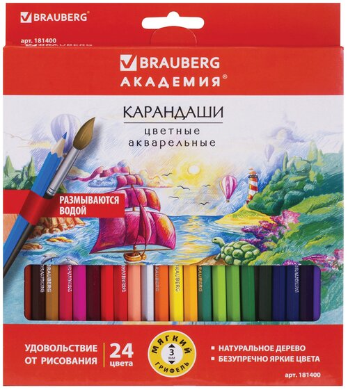 BRAUBERG Карандаши цветные акварельные Академия 24 цвета, 181400, комплект 3 шт.