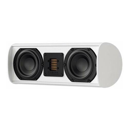 Центральные каналы Piega Ace Center white lacquer 6300000₽