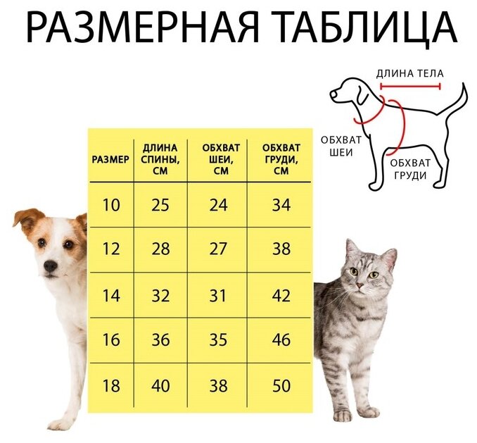 Комбинезон для собак Сима-ленд Единорог 696821 , 18 унисекс - фотография № 10