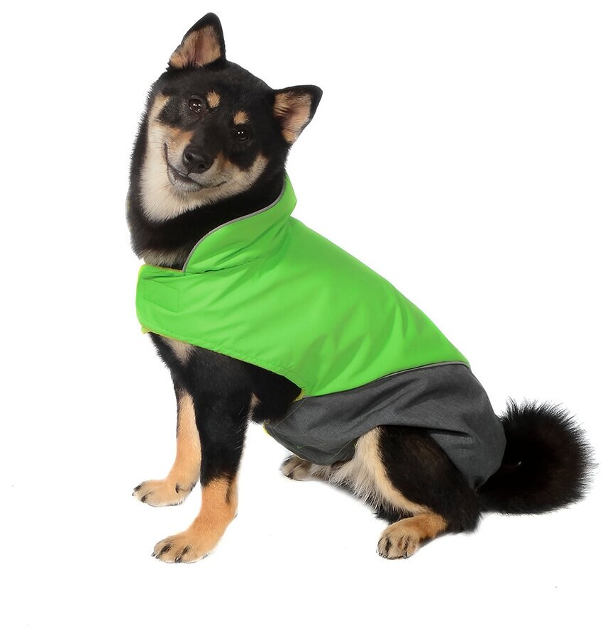 Tappi попона Блант для собак, зеленая, размер L (спинка 38 см) - фотография № 1