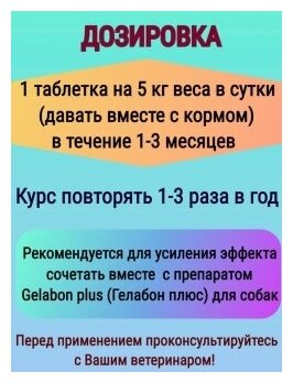Polidex Глюкогестрон плюс Кормовая добавка для укрепления связок, суставов и хрящей у собак, 60 таблеток - фото №5