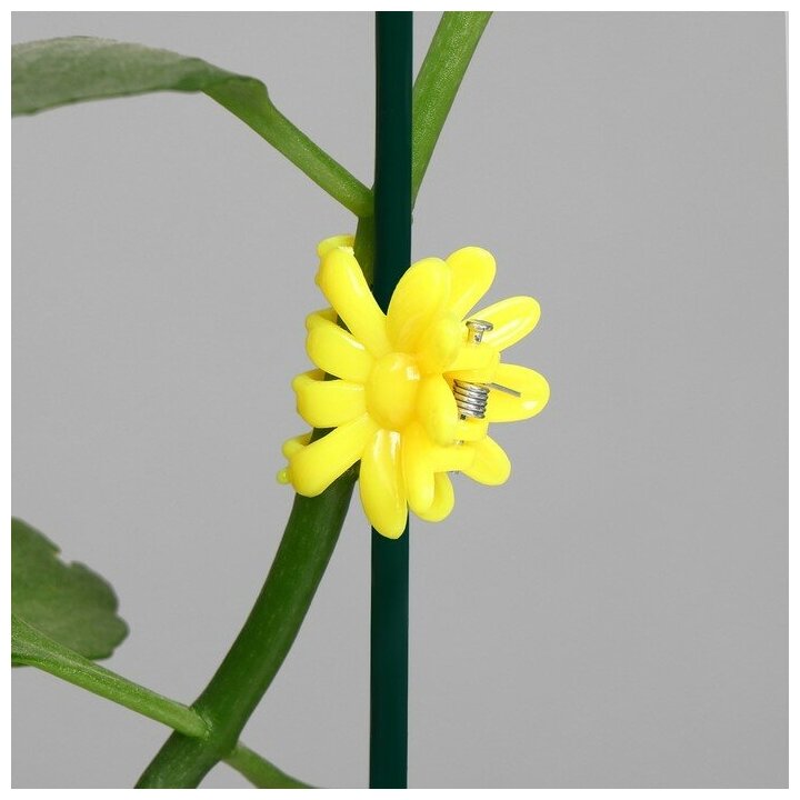 Клипса для растений, набор 10 шт "Цветок", микс - фотография № 2