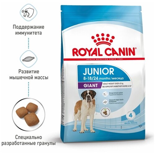 ROYAL CANIN GIANT JUNIOR для щенков крупных пород (15 + 15 кг)