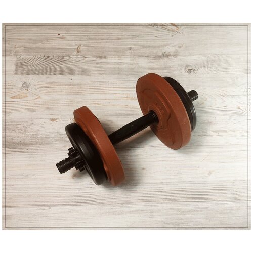 Гантель ShiGir 4кг (SGP-4)