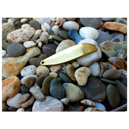 фото Блесна для рыбалки чинок колеблющаяся/колебалка оснащенная р-р 67х18 из латуни 15 гр. нет бренда