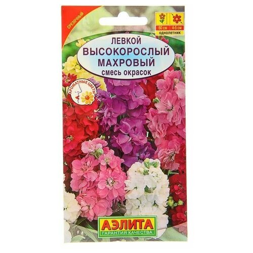 семена цветов левкой карликовый дюймовочка смесь окрасок 0 1 г 12 упаковок Семена цветов Левкой Высокорослый махровый, смесь окрасок 0,1 г 12 упаковок