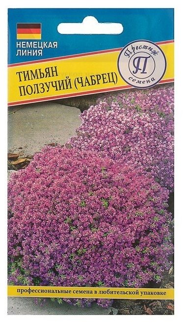 Семена Тимьян ползучий РС-1 005 г