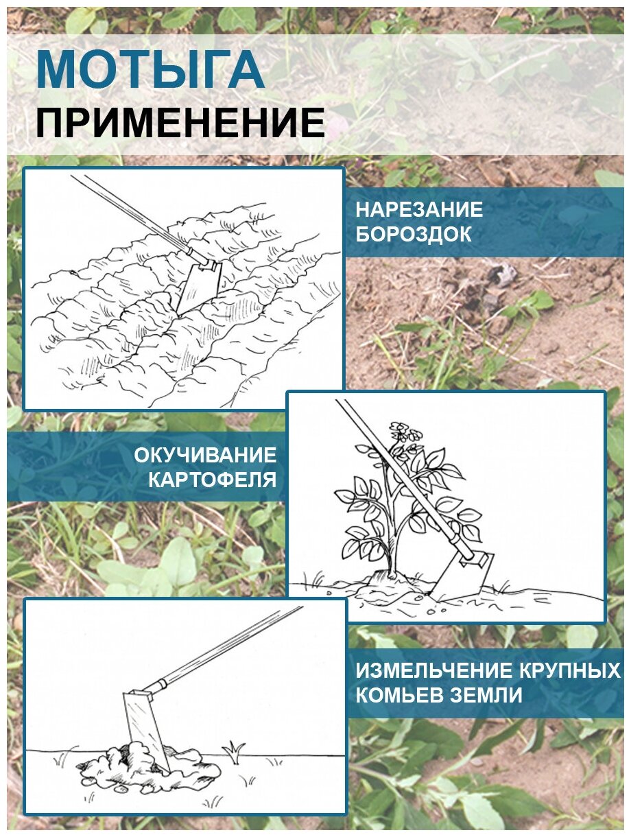 Благодатное земледелие Мотыга клиновидная самозатачивающаяся без черенка - фотография № 5