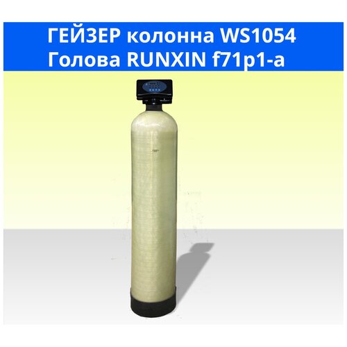 Гейзер Установка WS1054/Runxin F71P для обезжелезивания воды с автоматической промывкой по таймеру