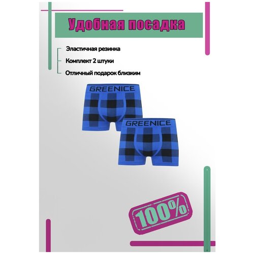 фото Комплект из 2 шт. трусов (белье нательное) мужские синие в клетку 1060069 нет бренда