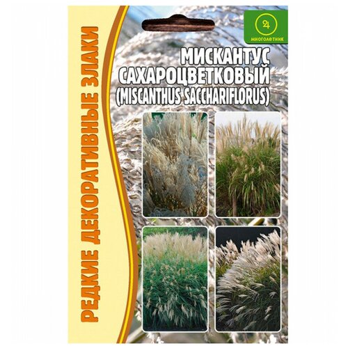 Семена Мискантуса Сахароцветкового (Miscanthus Sacchariflorus) (0,1 г) мискантус вариегатус