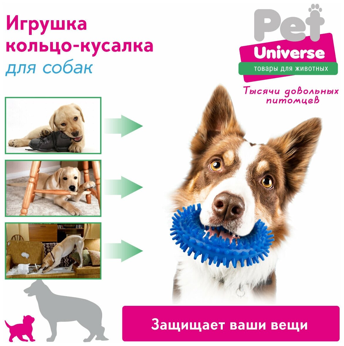 Игрушка для собак Кольцо с шипами Pet Universe. Игрушка для зубов для щенков и взрослых собак средних пород /10*3.5 см/PU3019BE - фотография № 3