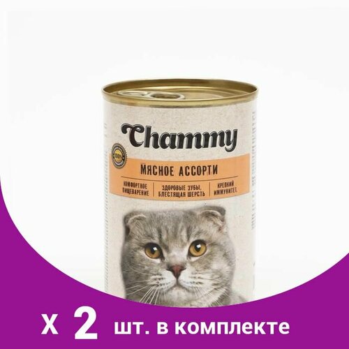 Влажный корм Chammy для кошек, мясное ассорти в соусе, ж/б, 415 г (2 шт)