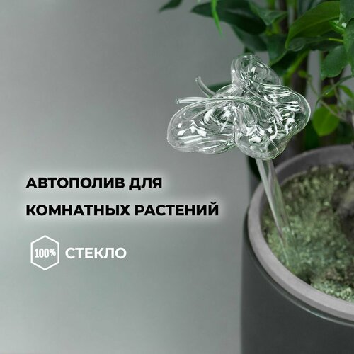 Автополив. Колба стеклянная Бабочка La Rose для капельного полива комнатных растений