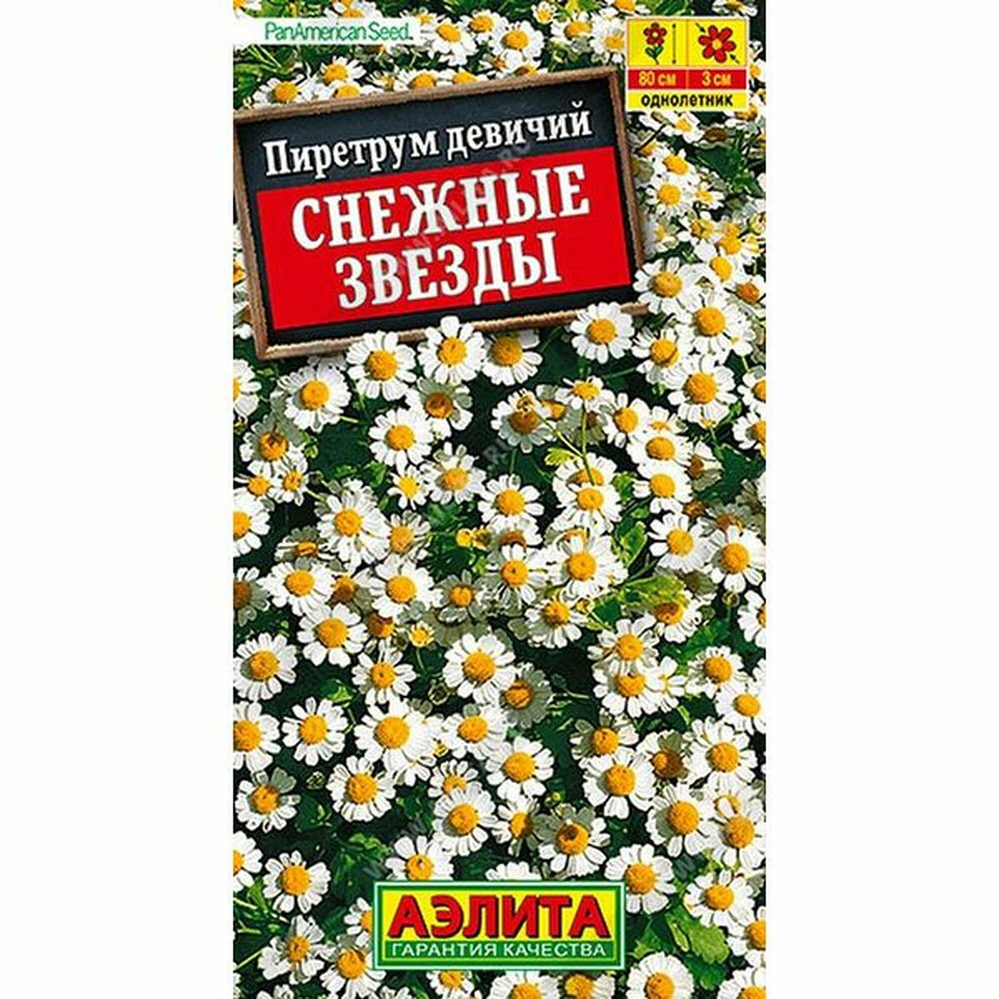 Семена Пиретрум Снежные звезды однолетник Аэлита 1 пачка - 7 семян