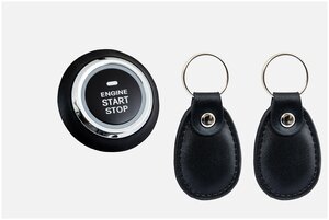 Кнопка Viper Start-Stop Hands Free