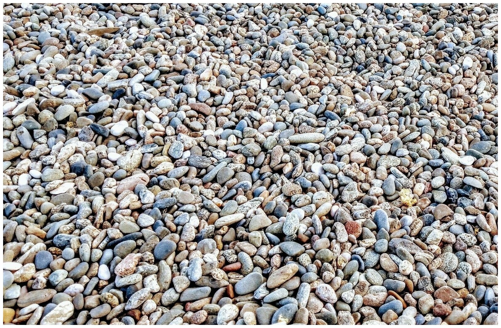 Камень морской разноцветный