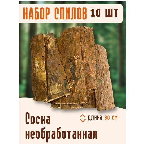 Набор спилов из сосны 10 шт