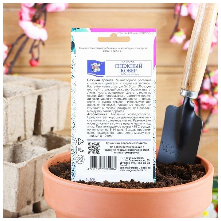 Семена цветов Цв Алиссум "Снежный ковер",0,1 гр