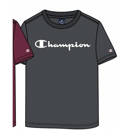 фото Футболка champion legacy american classics crewneck t-shirt дети 305365-es508 m