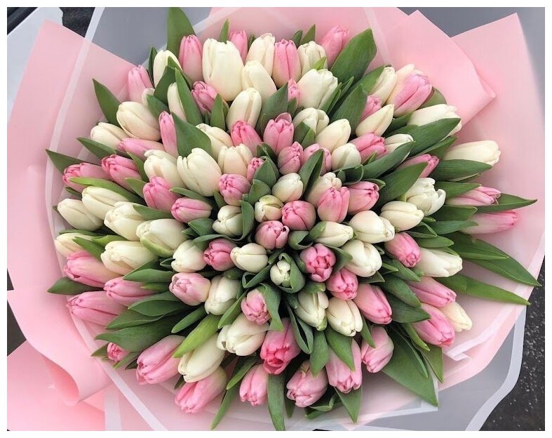Букет Тюльпанов ассорти 101 шт, красивый букет цветов, шикарный, цветы премиум, тюльпаны.