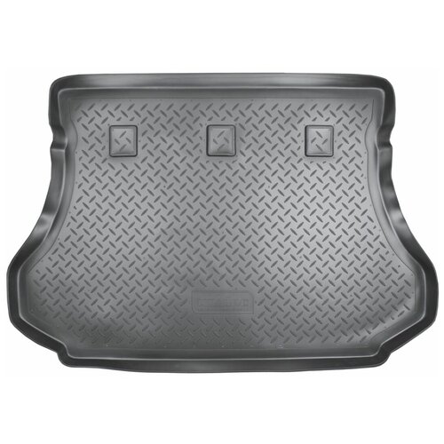 Коврик багажника Hyundai Santa Fe Classic (тагаз) (2000-2013) NPL-P-31-22