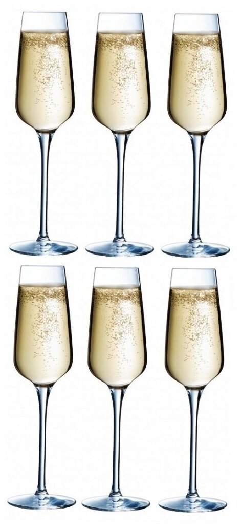 Набор из 6-и бокалов для шампанского сублим L2762 , 210 мл, Chef Sommelier 1060569