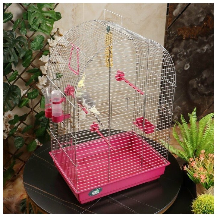 Клетка для птиц "Пижон" №101, хром , укомплектованная, 41х30х65 см, рубиновая - фотография № 2