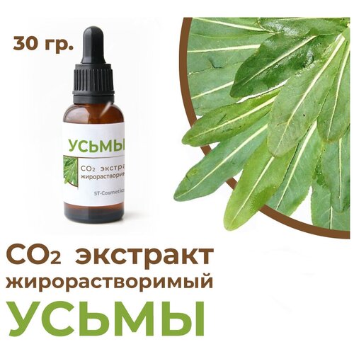 СО2 экстракт усьмы (вайды), 30 гр. со2 экстракт усьмы вайды 30 гр