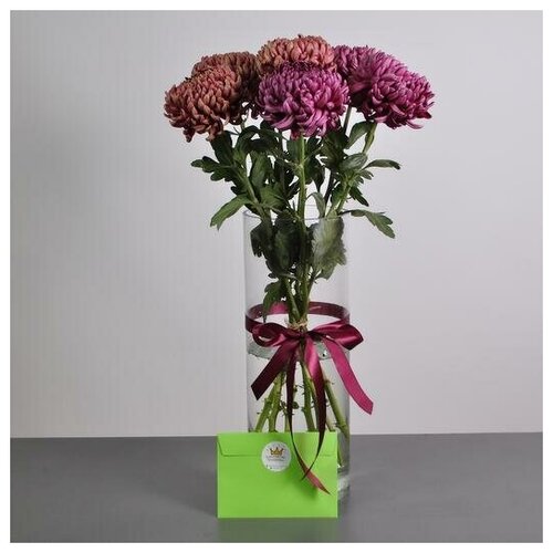 Хризантема Бигуди, 7 штучек. С вазой