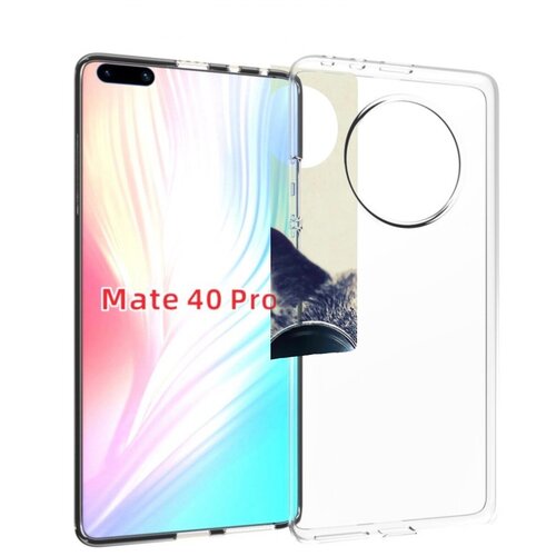 Чехол MyPads Кот-в-очках-2 для Huawei Mate 40 Pro (NOH-NX9) задняя-панель-накладка-бампер