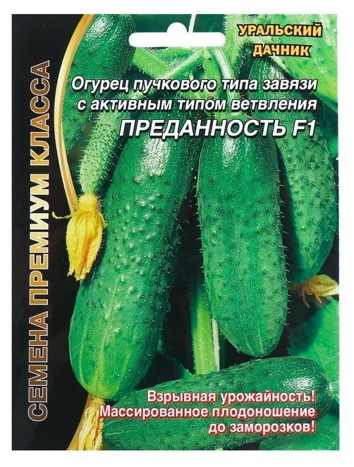 Семена Огурец "Преданность" F1 пучкового типа завязи, партенокарпический, 7 шт