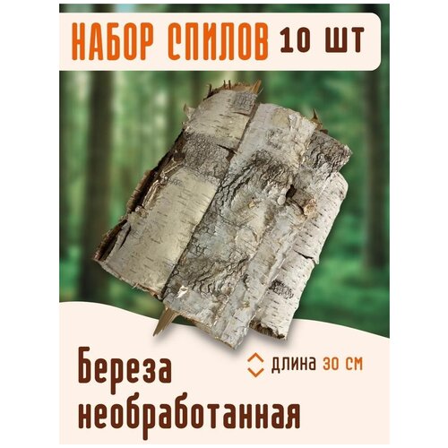 Набор спилов из березы 10 шт