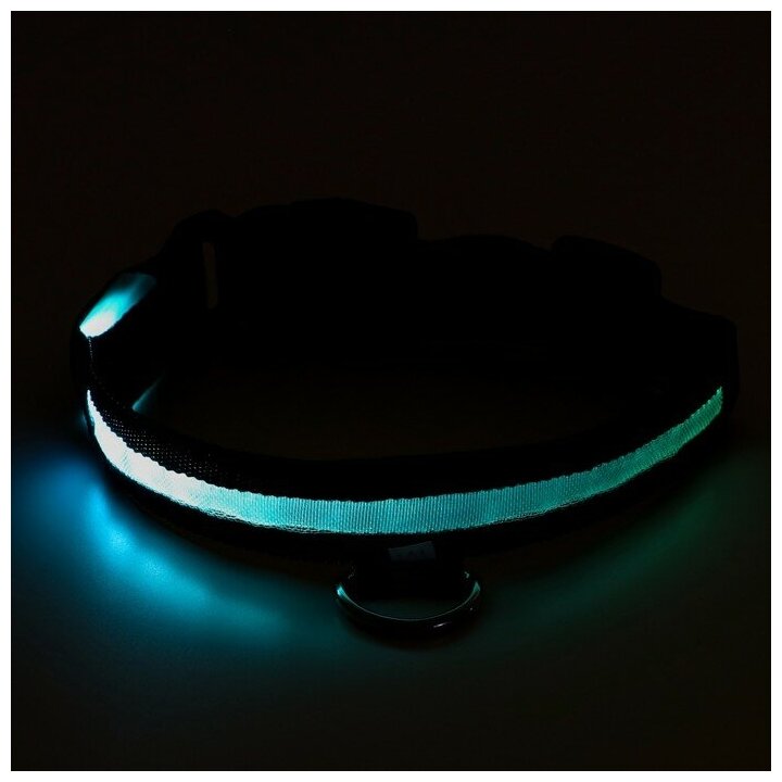 Ошейник с подсветкой, зарядка от USB, до 45 см, 3 режима свечения, чёрный - фотография № 9