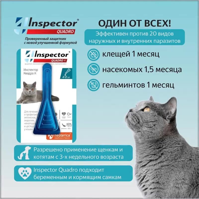 Inspector раствор от блох и клещей Quadro К от 4 до 8 кг для кошек 1 шт. в уп, 1 уп. — фото 1