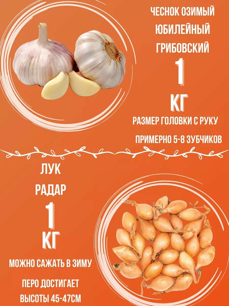 Набор Чеснок Озимый и Лук Севок 1 кг