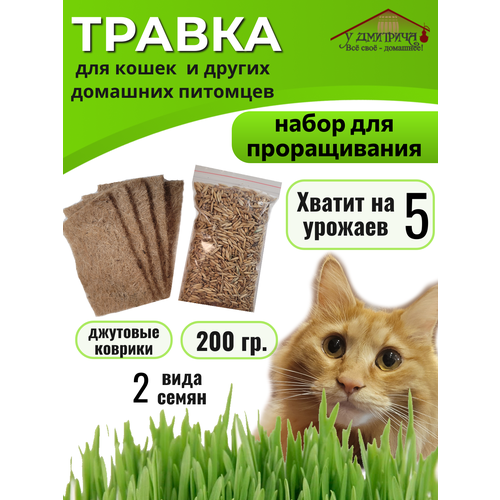 Набор для проращивания травы для кошек и других животных