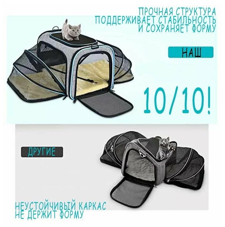 Переноска трансформер для собак и кошек серого цвета с голубой полоской размер L - фотография № 9
