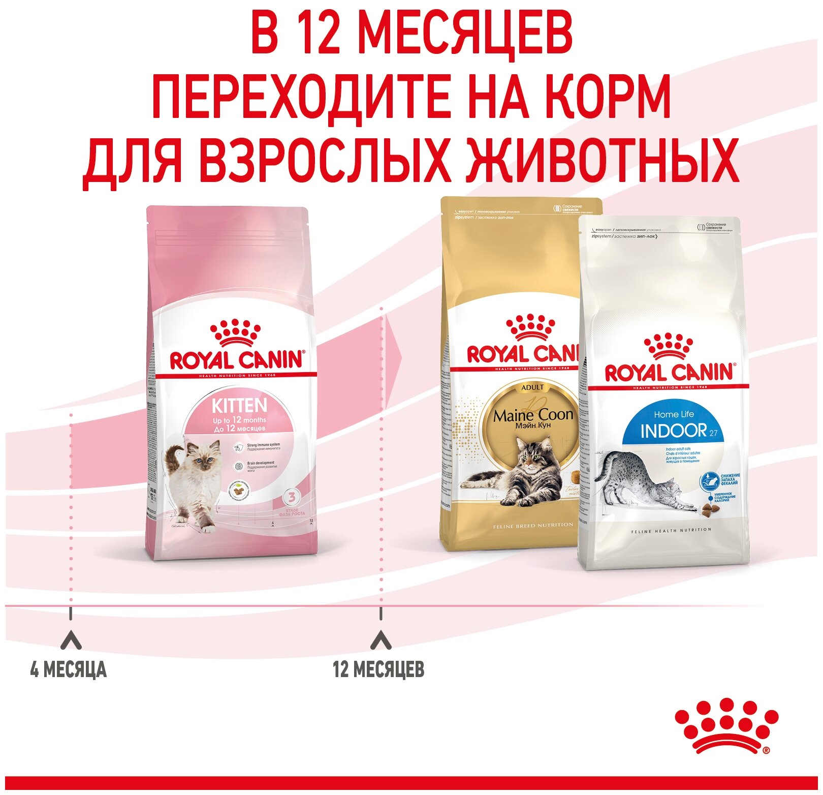 ROYAL CANIN KITTEN 36 для котят (0,3 + 0,3 кг) - фотография № 5