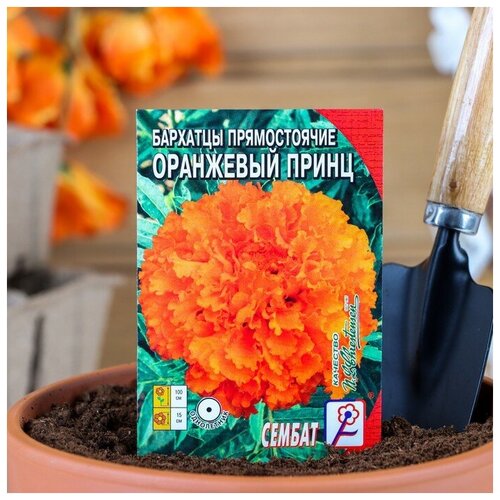 Семена цветов Бархатцы прямостоячие Оранжевый принц, О, 0.1 г семена цветов бархатцы прямостоячие оранжевый принц о 0 1 г 3 упак