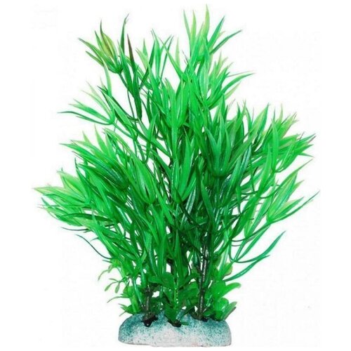 Уют ВК408 Растение Гемиантус зеленый 20см (1 шт)