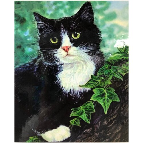 Алмазная мозаика 40*50 круглые стразы полная выкладка «Черно-белый кот»