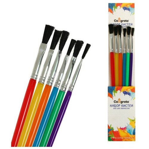 Набор кистей синтетика плоские 6 штук с пластиковыми цветными ручками 2691081