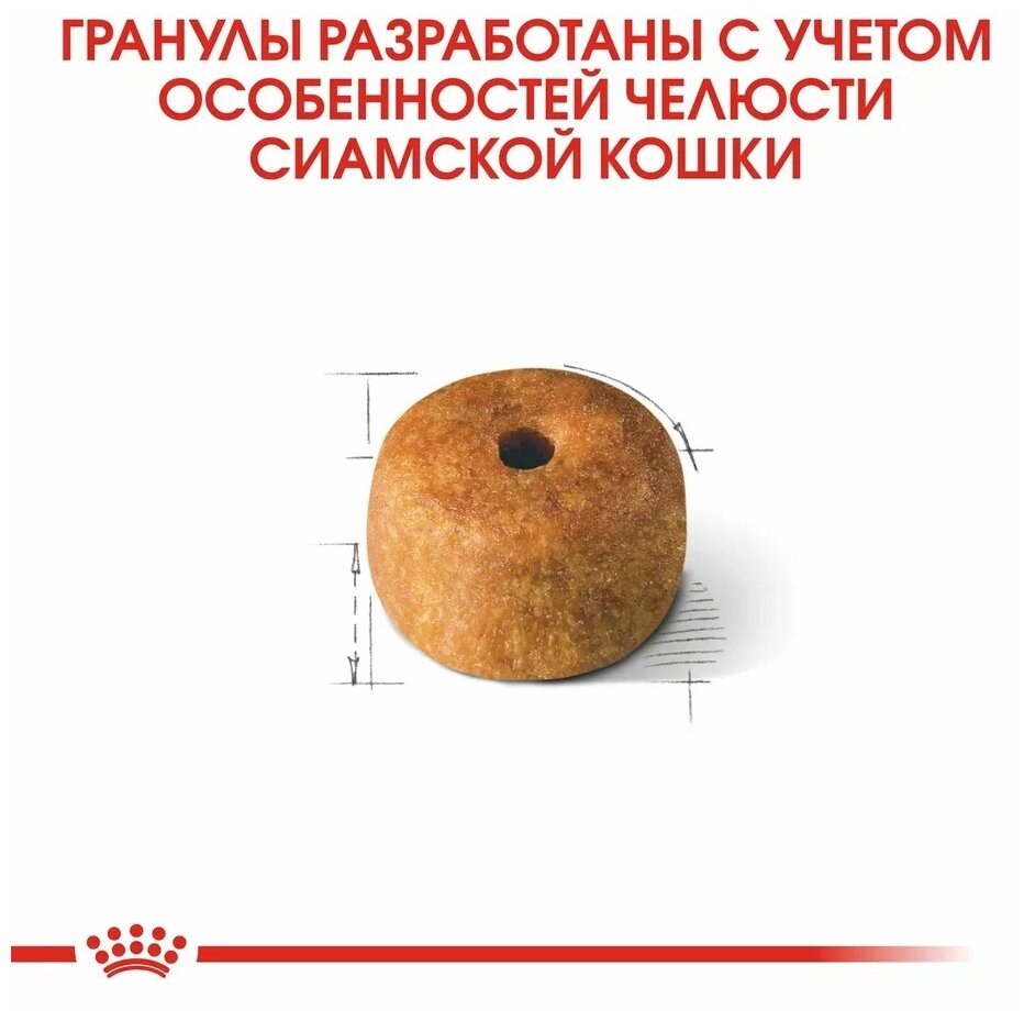 ROYAL CANIN Siamese 400 г для сиамских кошек старше 12 месяцев - фотография № 4