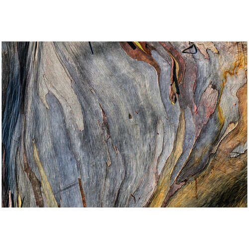 Фотообои флизелин эко Естественная кора 400х270 8100₽