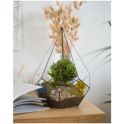 Флорариум с мирсиной GeoGlass 36 см Капля