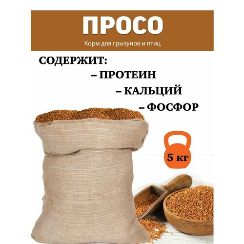 Просо для птиц, попугаев, грызунов 5 кг