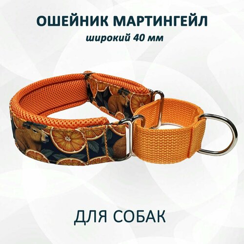 Ошейник для собак мартингейл "Капибара". XL