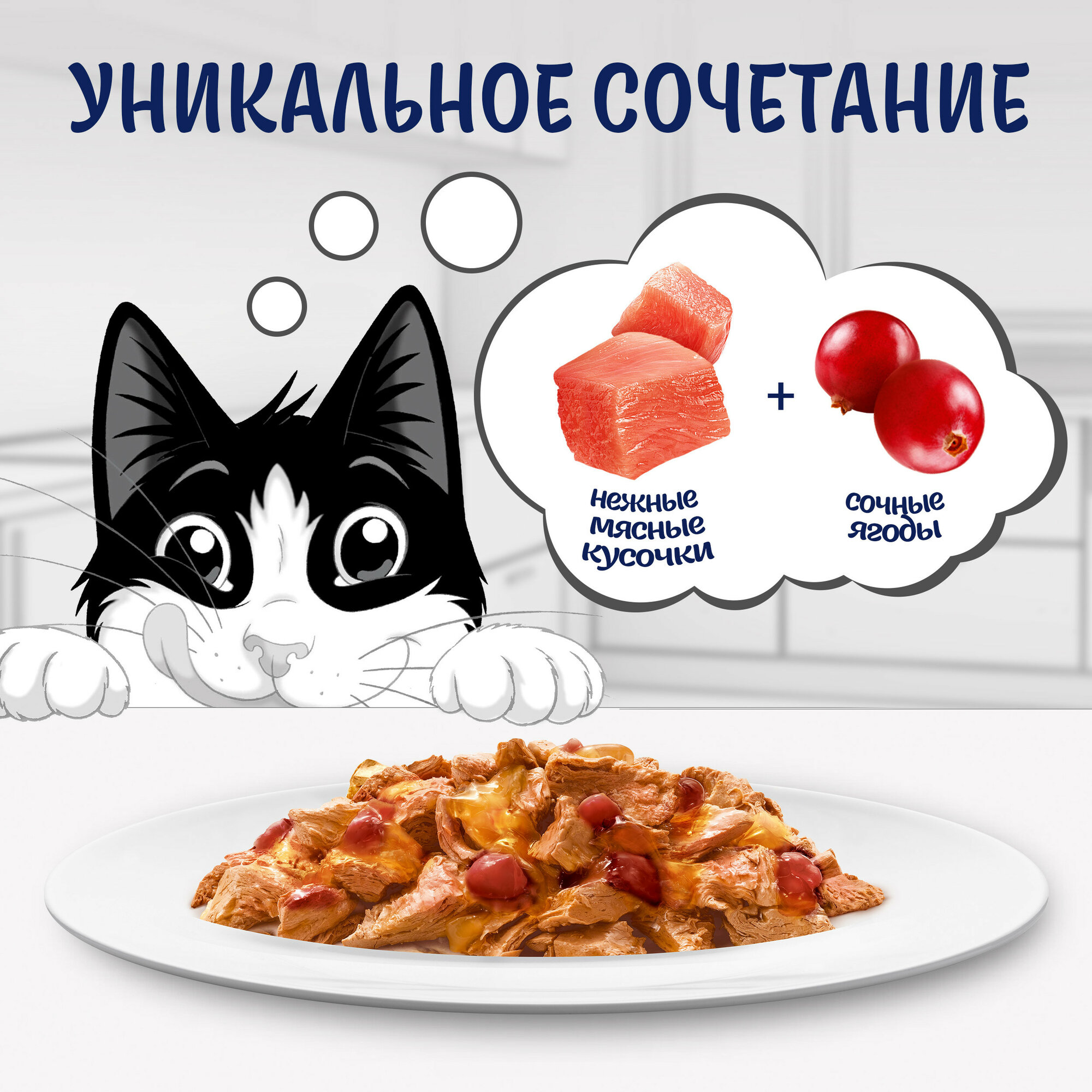 Влажный корм FELIX® Sensations Супервкус для кошек с индейкой и ягодами 75 г х 26 шт — фото 1